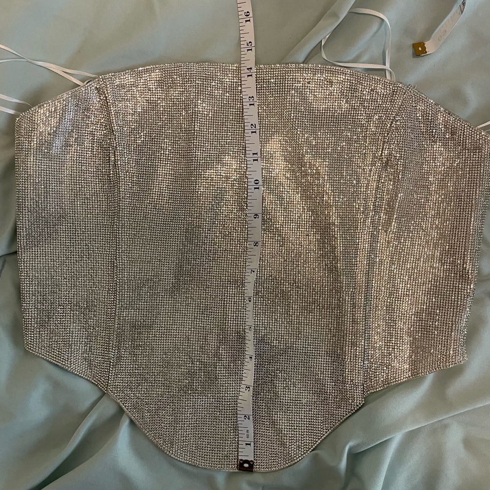 NWOT! Silver rhinestone corset top from AKIRA